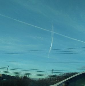 Meet your Posher, Ty